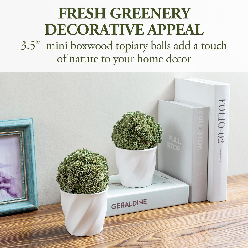MyGift 3.5 Inch Decorative Boxwood Balls Topiary, Lifelike Artificial Foliage Greenery Faux Bowl Fillers, Set of 4