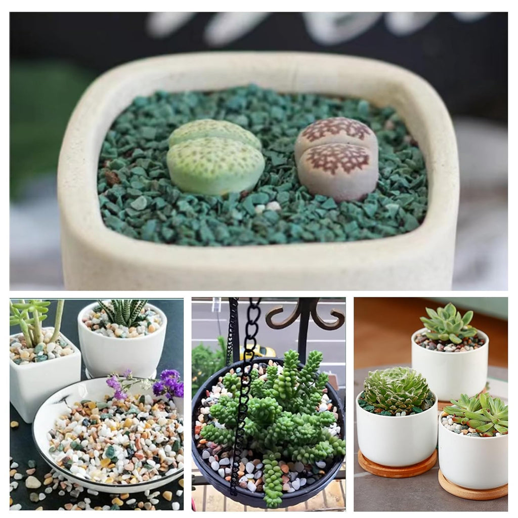 6.6 lbs Succulent and Cactus Bonsai Pebbles, 6-9mm Decorative Landscaping Stones Natural Garden Gravel Rocks for Indoor Outdoor Plants Aquariums DIY, and Gardening Top Dressing, Green Zeolite