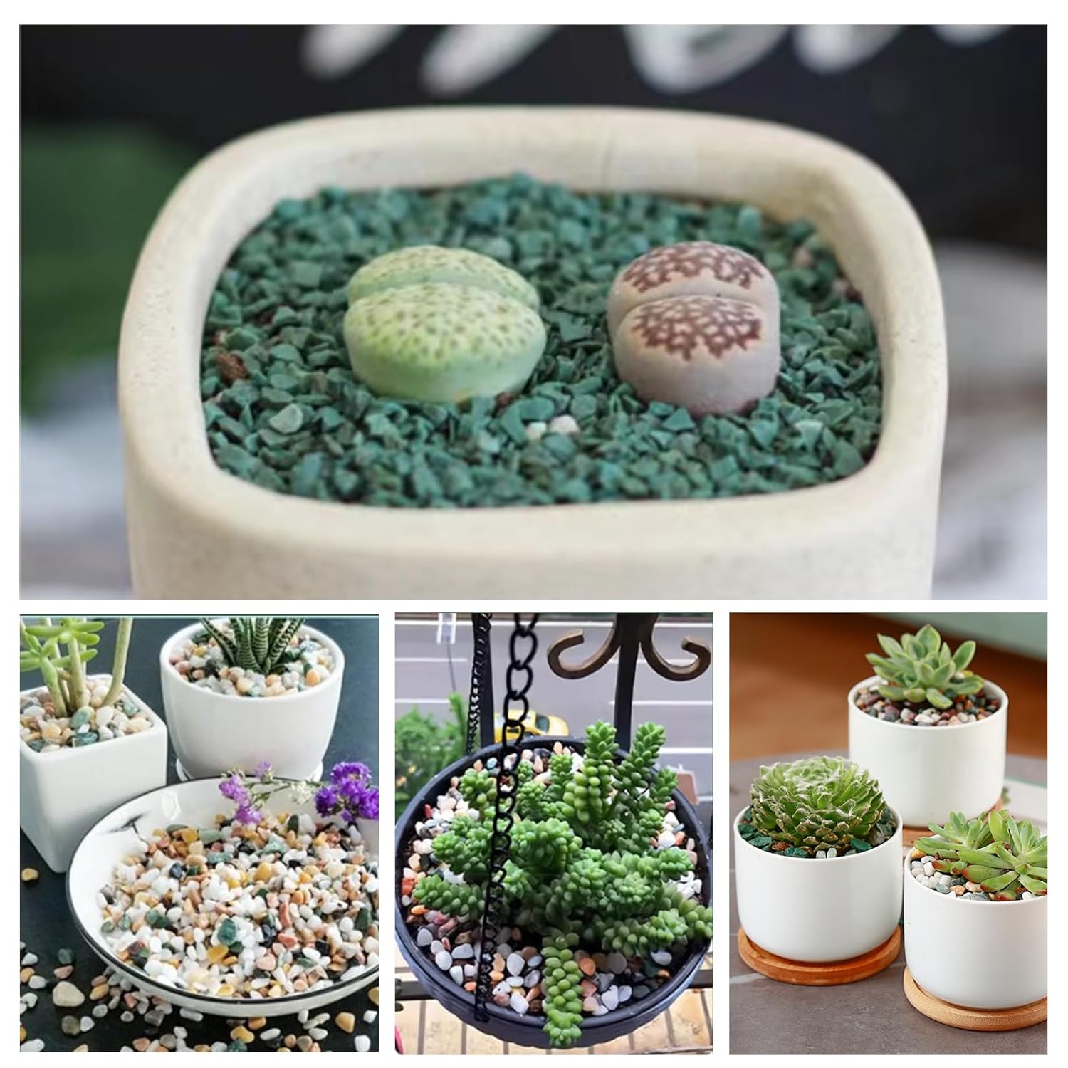 11 lbs Succulent and Cactus Bonsai Pebbles, 4-6mm Decorative Landscaping Stones Natural Garden Gravel Rocks for Indoor Outdoor Plants Aquariums DIY, and Gardening Top Dressing, Green Zeolite
