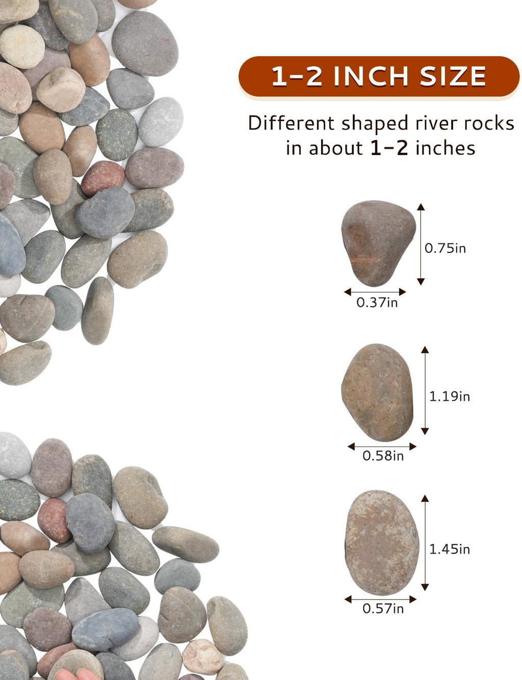 Natural River Rocks-5 lbs of Pebbles and River Stones,1-2 Inch Plant Rocks for Landscaping,Garden Paving,Crafting,Walkways,and Outdoor Decorative Stone,Mexican Beach River Rocks