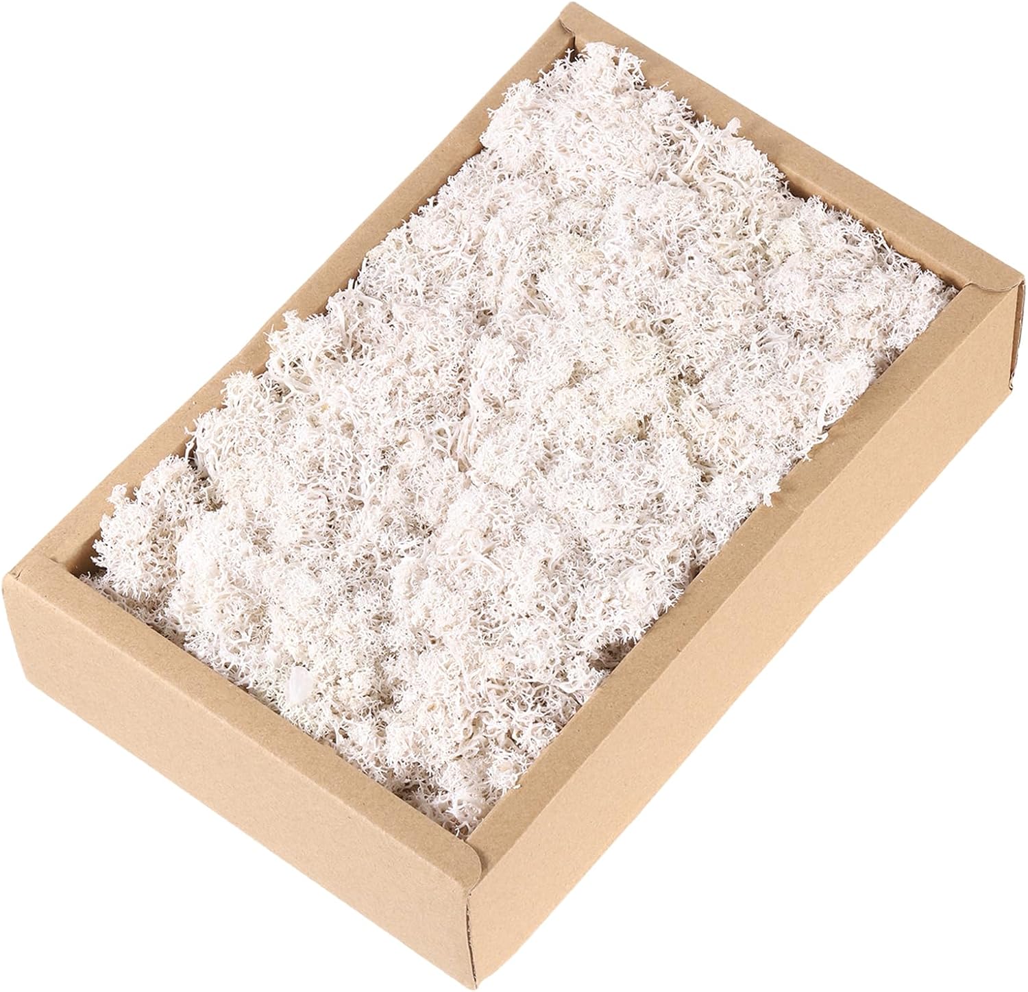 MECCANIXITY 7.8oz Preserved Reindeer Moss, White Decorative Artificial Fake Moss for Potted Plants Indoor Crafts Lichen Centerpieces Decor