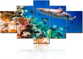 Shark and Small Fishes Wall Art Coral Reef Picture Marine Animal Framed Paintings for Living Room 5 Piece Prints on Canvas Underwater World Artwork House Decor Giclee Ready to Hang(60''Wx 32''H)