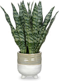 Hollyone Fake Snake Plant 13.5 Inch Large Artificial Snake Plant Potted with Ceramic Pot Faux Sansevieria Plant for Home Office Room Indoor Decor Housewarming Gifts