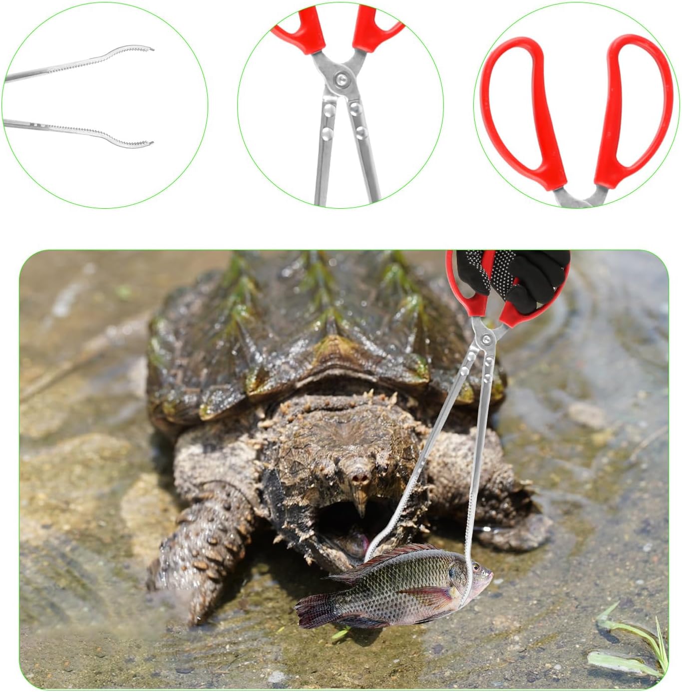 15 Inch Snake Feeding Tongs, 2 PCS Stainless Steel Reptile Tongs, Extra Long Large Tweezers for Bearded Dragon Ball Python Tank Accessories Terrarium Supplies With Gloves