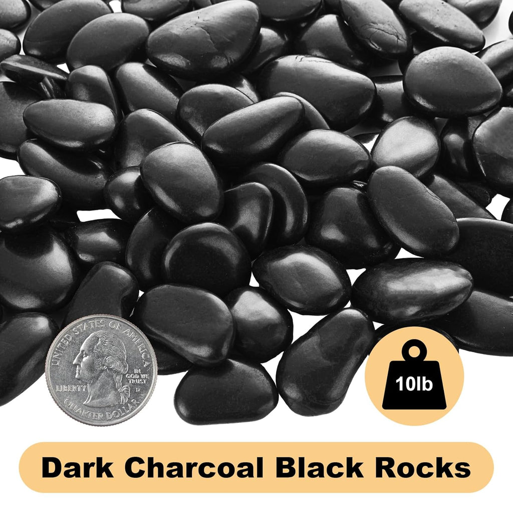 DAJAVE 10lb Black River Rocks for Landscaping, 1-2Inch Polished Pebbles for Plants, Natural Decorative River Pebbles, Large Plant Rocks for Gardens, Landscape, Outdoor Decoration