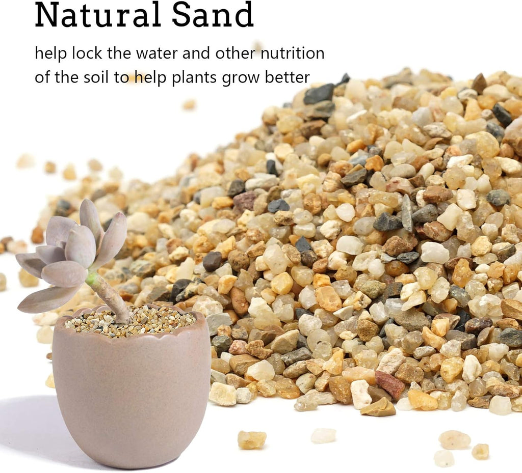 Coarse Sand Stone - Silica Sand for Plants, Soil Cover Succulents and Cactus Bonsai DIY Horticultural Sand, Decorative Sand for Vases Fillers,Terrarium, Fairy Garden,Natural Sand Top Dressing