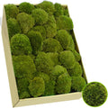 TCYPUHL Preserved Pillow Moss Bulk (2.4 Sq.Ft Yellow Green) - Natural Cushion Moss for Wall Art, Home Decor - Christmas Crafts, Holiday Decorations and Gift Giving DIY Craft, Floral Arrangements
