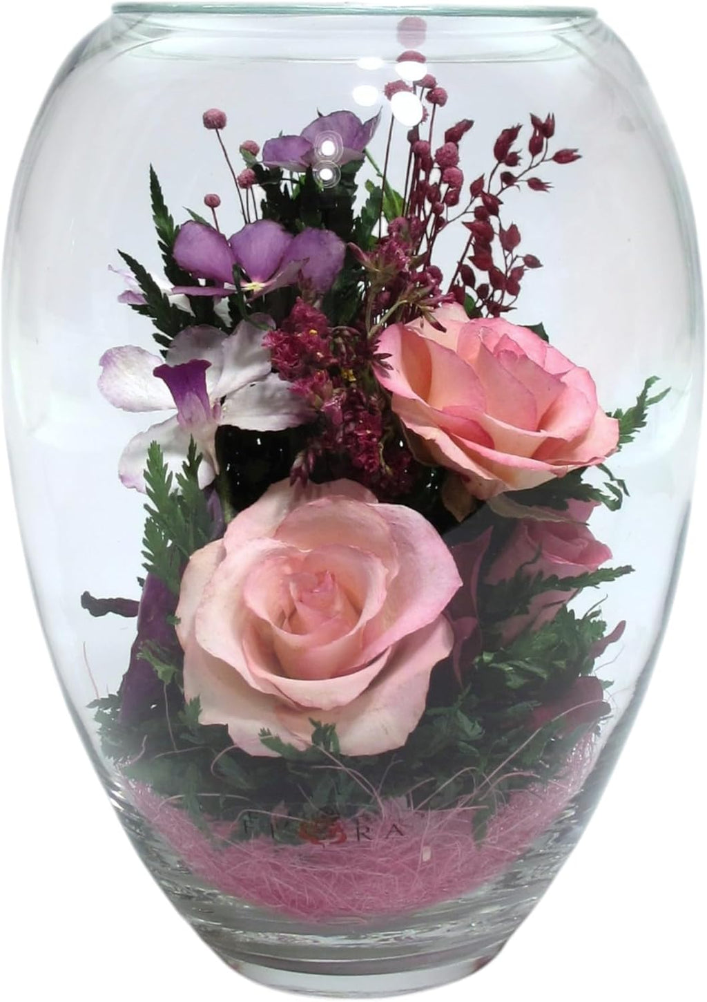 Fiora Flower | Premium Preserved Roses in Glass Vase | Lasts 5 Years | Long-Lasting Real Roses for Christmas, Weddings, Birthdays