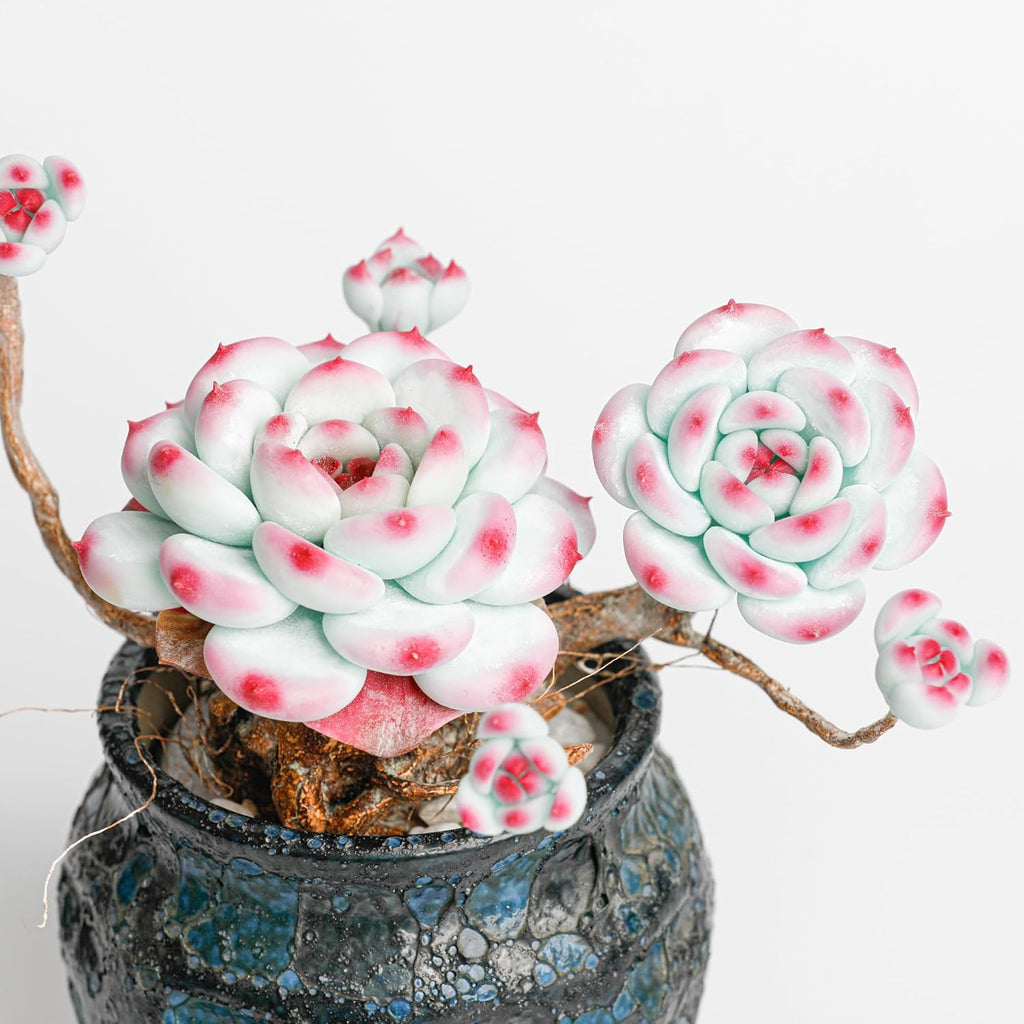Galagaga Handcrafted Artificial Succulent Plant in Textured Ceramic Pot, Pink and Mint Green Clay Flowers, Maintenance-Free Home Decor (1, shape5)