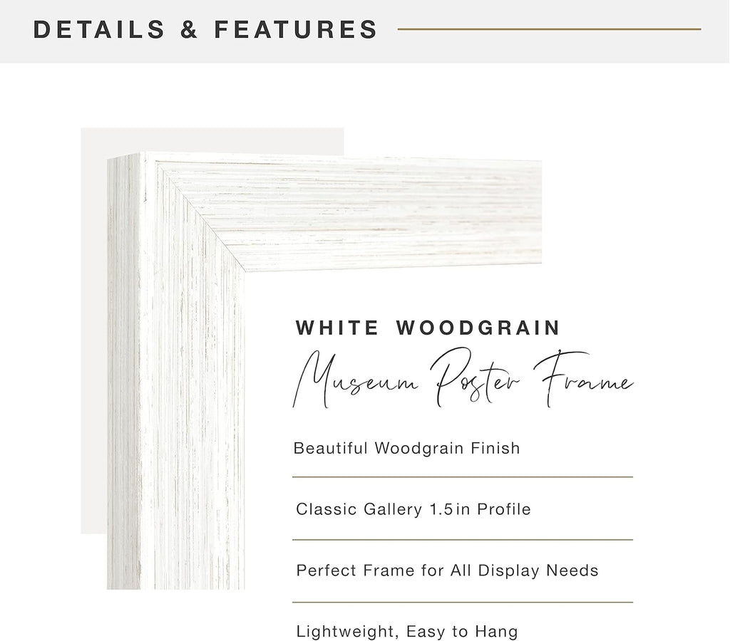 MCS Museum Poster Frame 20x27 White Woodgrain, Vertical & Horizontal Wall Hanging Large Picture Frame for Photos, Posters & Art Prints (1-Pack)