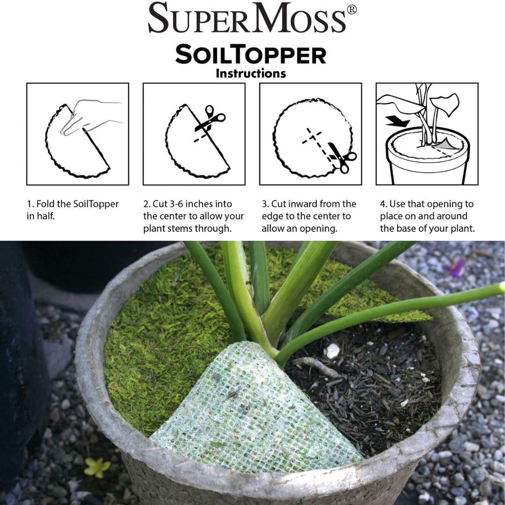 SuperMoss (26315) Moss Soil Toppers (Place Mats), Fresh Green, 12" (3 units)