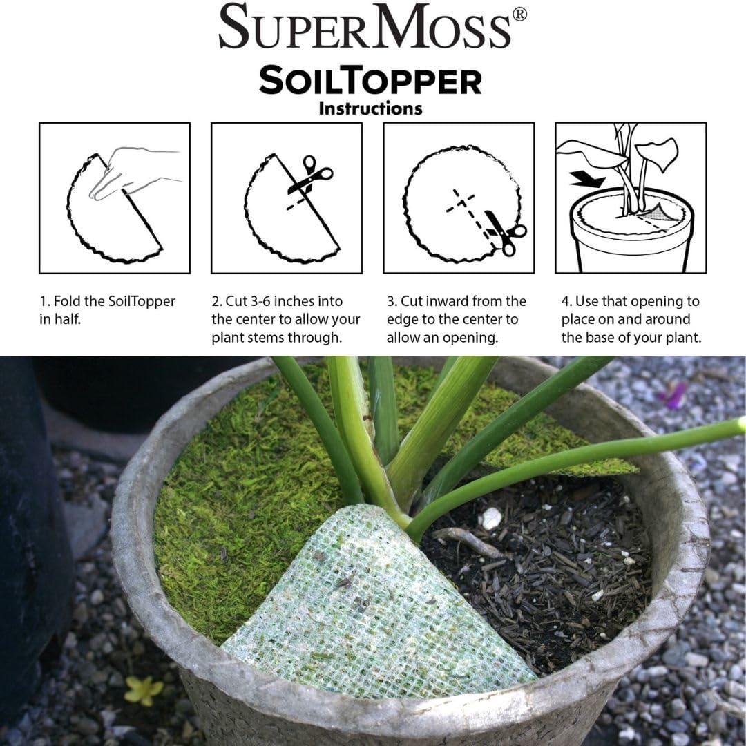 SuperMoss (26295) Moss Soil Toppers, Fresh Green, 4 (3 Units)
