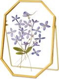 Glass Pressed Flower Frame Handmade, Metal Floating Picture Frame, Double Glass for Tabletop Display, Unique Brass Octagon, Gold, 5x7 Inches (Frame Only)