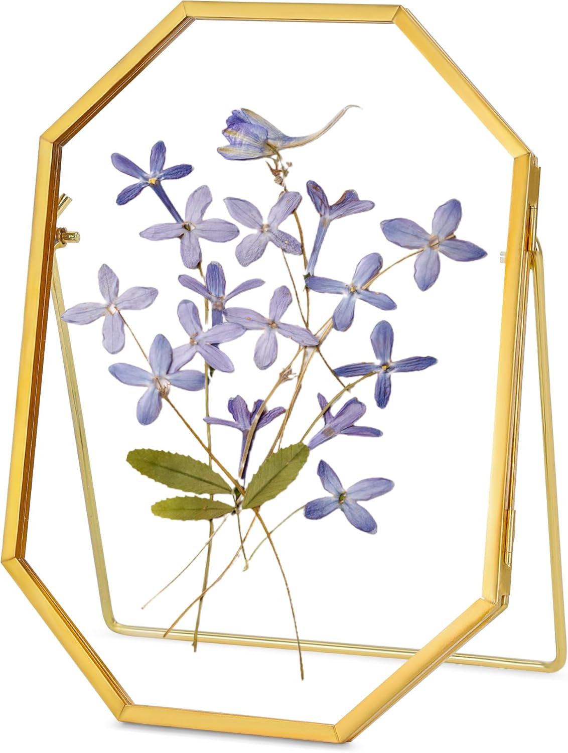 Glass Pressed Flower Frame Handmade, Metal Floating Picture Frame, Double Glass for Tabletop Display, Unique Brass Octagon, Gold, 5x7 Inches (Frame Only)