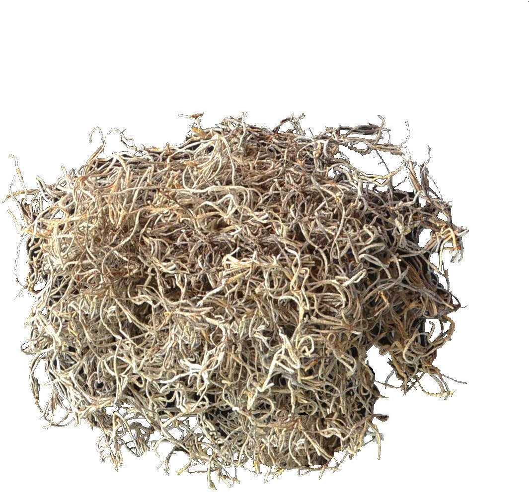 Mosser Lee Spanish Moss – Natural Decorative Moss for Houseplants, Soil Cover, Crafts, Terrariums & Floral Arrangements - 2.4 Cubic Foot