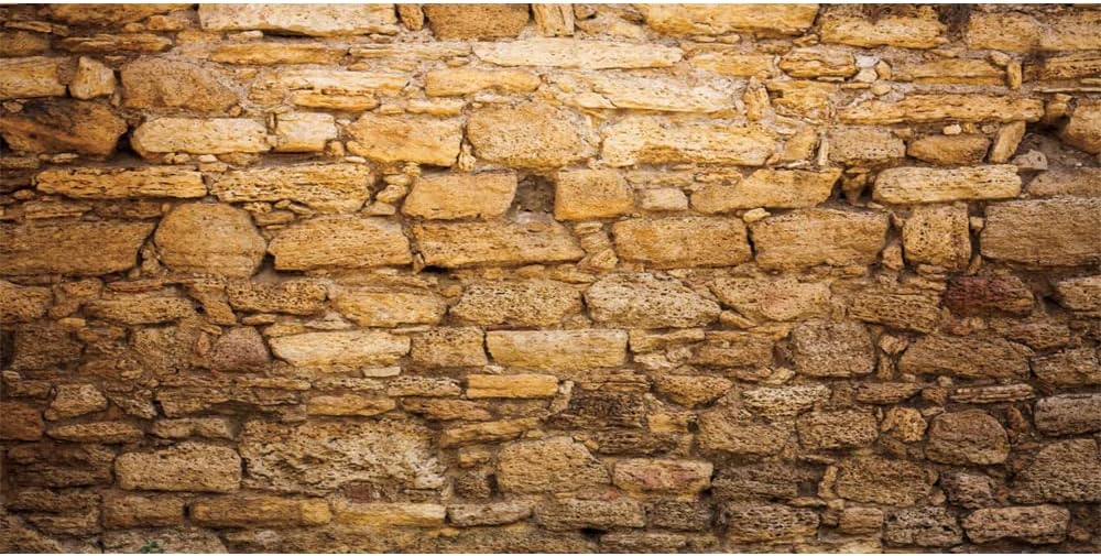 CSFOTO 20x10ft Western Wall Backdrop Ancient Jerusalem Buildings Photo Background Israel Background Jerusalem Wailing Wall Backdrop Church Event Decoration Props