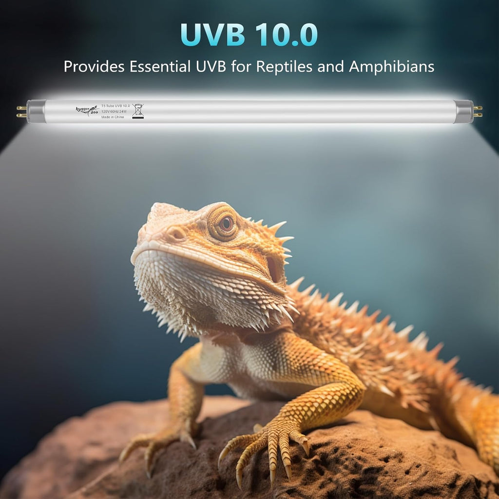 3-Pack UVB Reptile Light 10.0 Bulb 8W T5 Fluorescent Desert Lamp UVA for Bearded Dragon Tortoise Reptile & Amphibian
