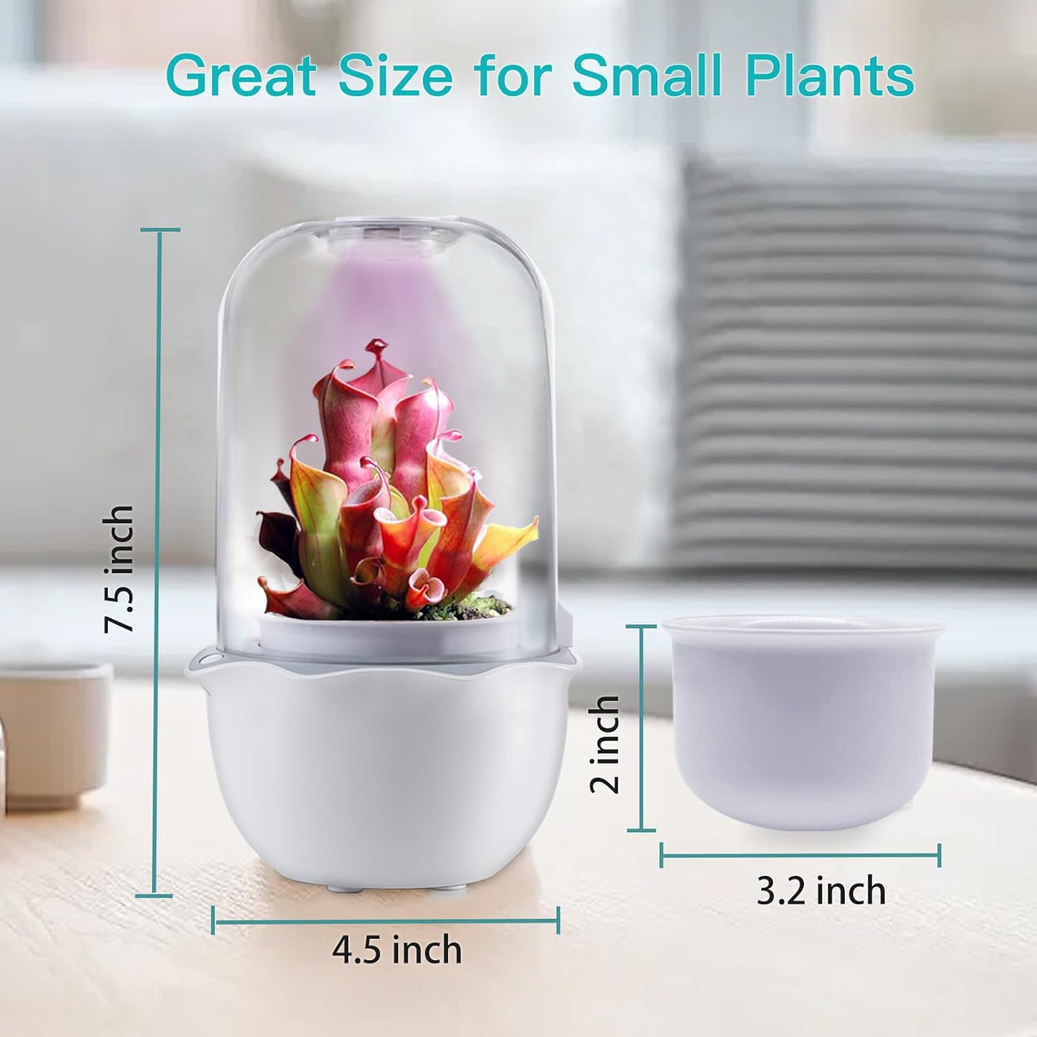 Venus Fly Trap Terrarium Pot with Timer Grow Light & Fan, Smart Planter for Succulents Butterwort, Carnivorous Plants Pot, Christmas Birthday Gifts for Women Garden Lover (no Plant)