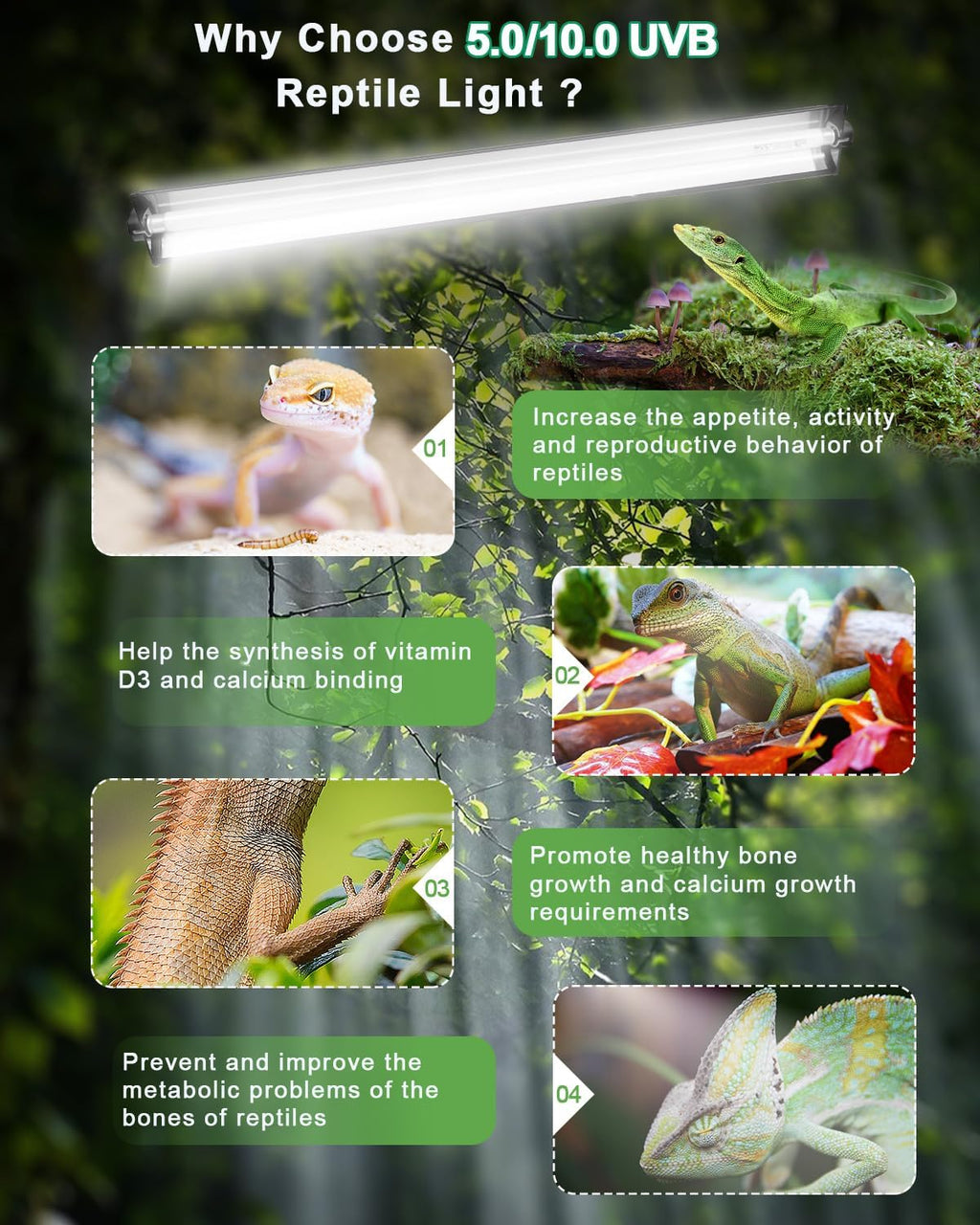 T5 UVB Reptile Light Kit, 39W T5 Reptile Light Fixture with UVB 10.0 Fluorescent Bulb, 35 in Terrarium Hood Light Fixture, Ideal for Tropical and Desert Habitats Reptile