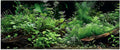 Aquatic Plant Aquarium Background, River Bed & Lake Tropical Undersea Tree BranchFish Tank Background, 6 EVA Double-Sided Tapes 48x24 inches/120x60