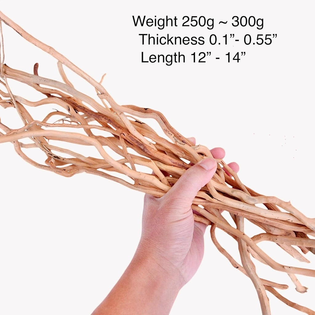 Azil Natural Aquarium Driftwood Root – Driftwood for Aquarium Decor, 250g (10″–15''), Fish Tanks, Terrariums, Aquascaping & Planted Tanks