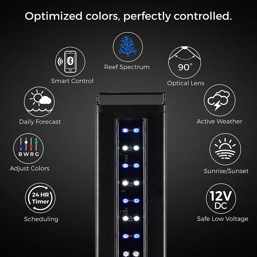 CURRENT USA 72" Inch Orbit Marine IC LOOP LED Saltwater Reef Marine Aquarium Light with Bluetooth App Control | Wireless Lighting & eFlux Wave Pump Control for Fish Tank (4208)