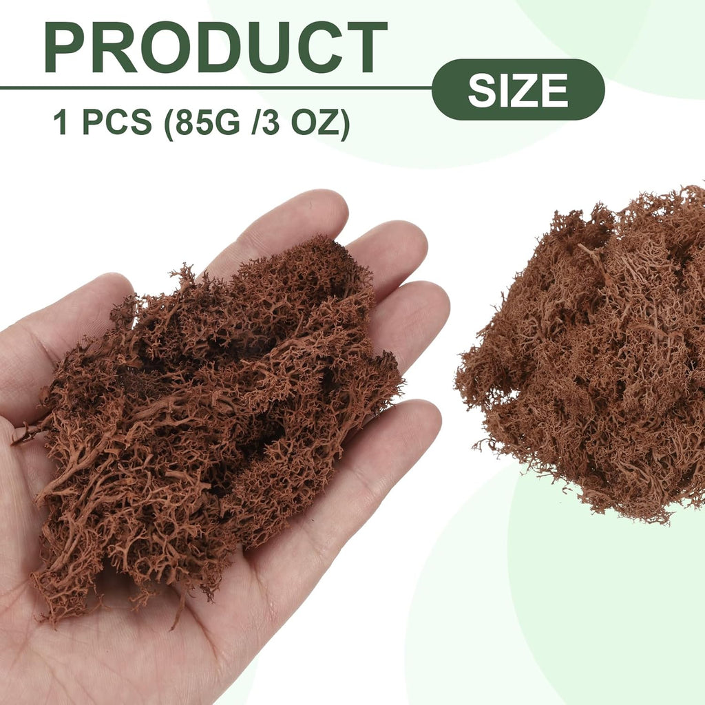 MECCANIXITY 3oz Preserved Reindeer Moss, Coffee Decorative Artificial Fake Moss for Potted Plants Indoor Crafts Lichen Centerpieces Decor