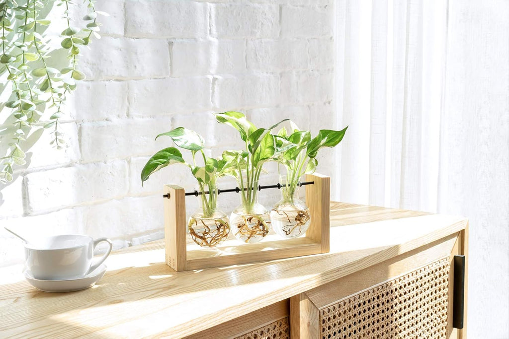Mkono Plant Terrarium with Wooden Stand, Wall Hanging Glass Planter Desktop Plant Propagation Vase with Metal Swivel Retro Rack for Hydroponics Plants Home Office Decor (3 Bulb Vase)