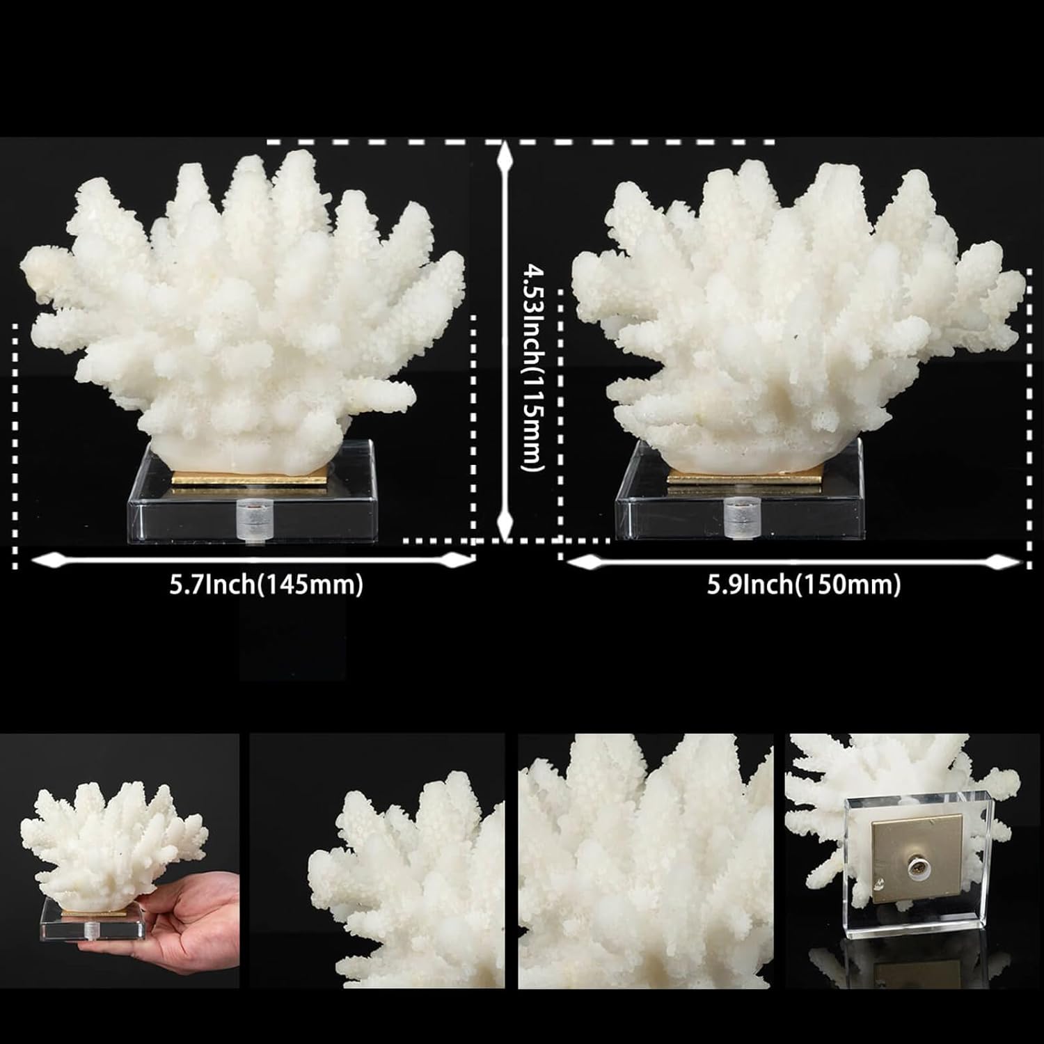 Faux Coral Decor - Resin Coral Home Decor with Acrylic Base - White