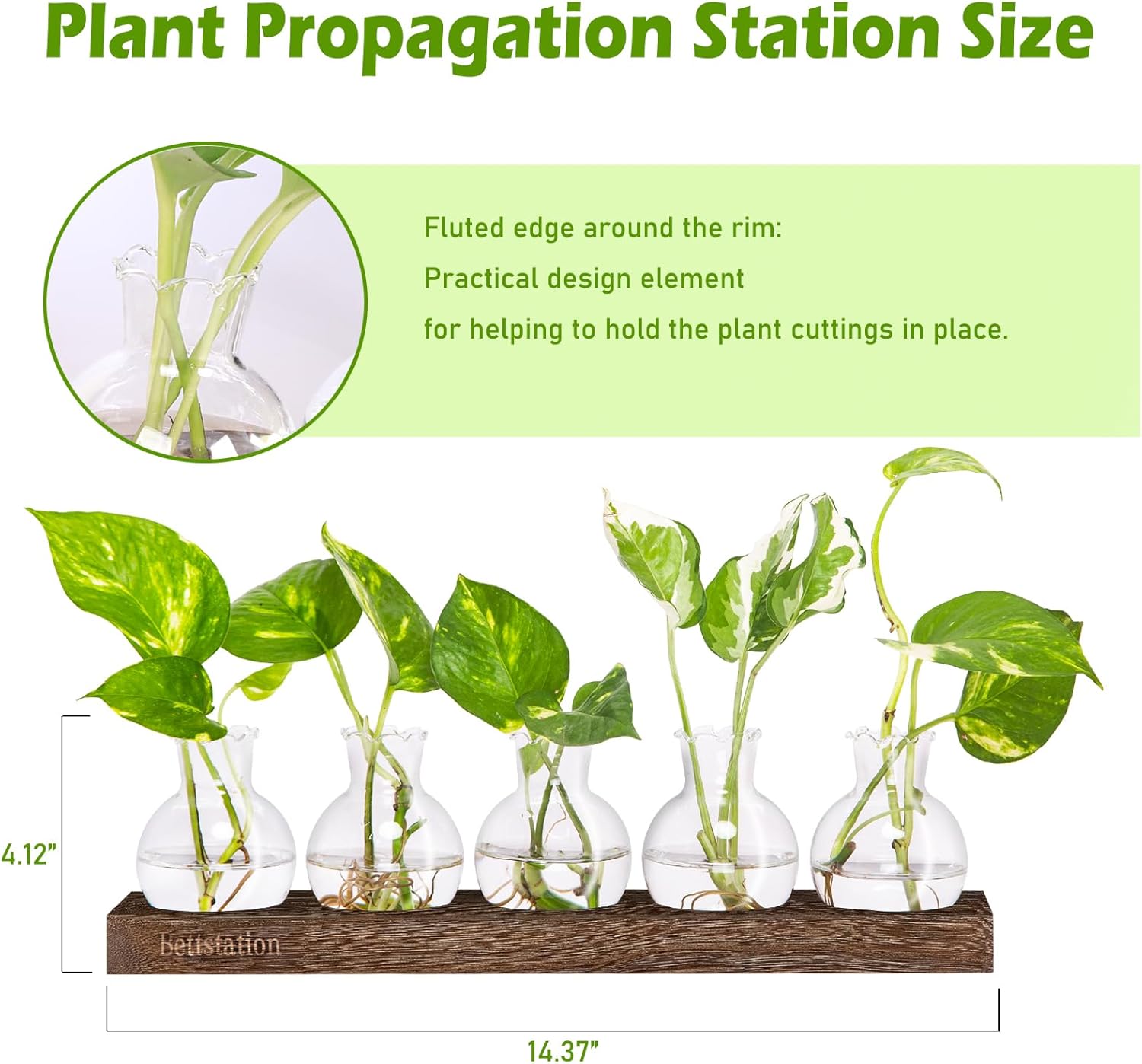Plant Propagation Station, Plants Terrarium with Wooden Stand 5 Bulb Houseplants Glass Vase for Hydroponic Plants Gift for Plant Lovers Home Office Decor