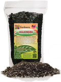 Gardenera Aglaonema Potting Mix - Promote Strong Roots and Vibrant Foliage with Our Premium Blend - 4 Quart, MAIN-AGLAONEMA-4QT
