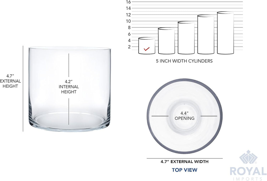 Royal Imports Flower Glass Vase Decorative Centerpiece for Home or Wedding - Cylinder Shape, 5"x5", Clear