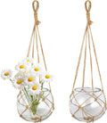 SAILINGSTORY Hanging Glass Plant Terrarium 5" Glass Planter Propagation Stations Flower Vase Clear Set of 2 Pack
