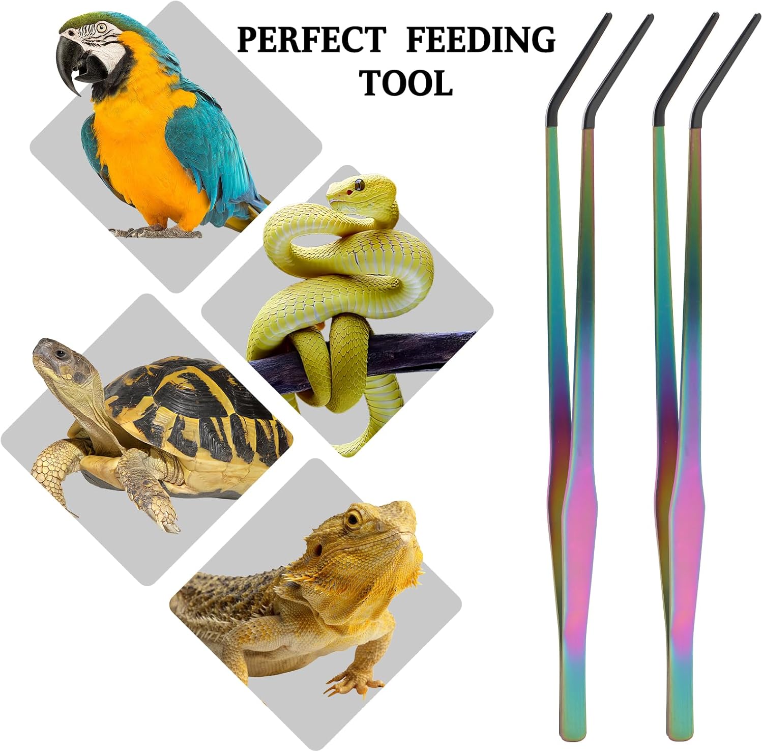 Texsens OLIISS Reptile Feeding Tongs with Rubber Tip - 15" Extra Long Tweezers for Aquariums & Crafts - Stainless Steel Feeder Tools for Bearded Dragons & Lizards - Terrarium Tank Supplies - 2 Pack