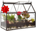 D'Eco Glass Greenhouse Centerpiece (10x4.5x9) - Tabletop Geometric Planter Terrarium - Fill with Succulents, Moss, Holiday Decorations, Mini Trees & Ornaments - Home Decor Xmas Gift for Plant Lovers