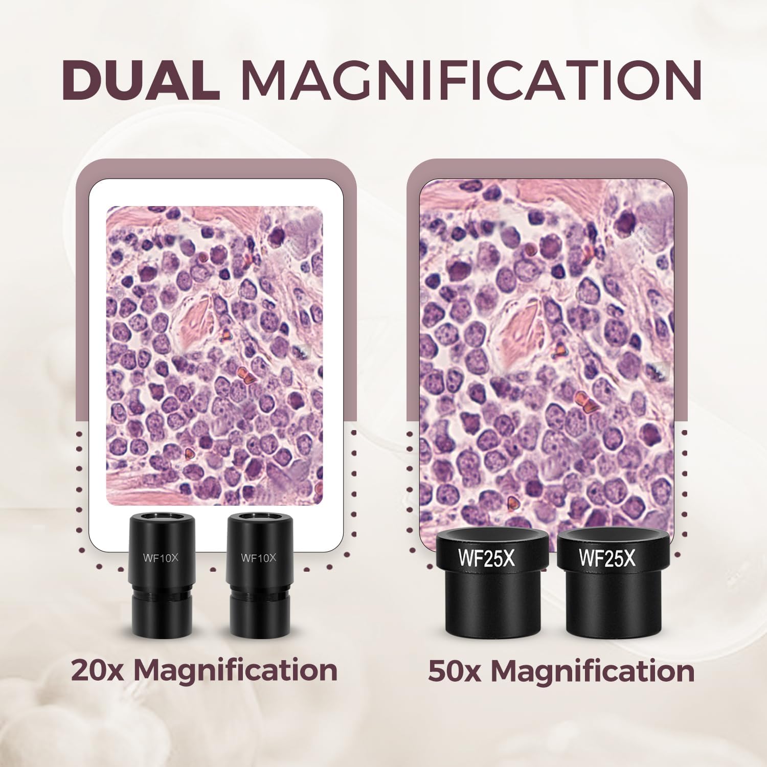 ESAKO Dual LED Kids Microscope - 52+ Piece Science Kit with Mineral & Insect Specimens, 10 Prepared Slides & 10 DIY Blank Slides, Microscope kit for Kids 8-12