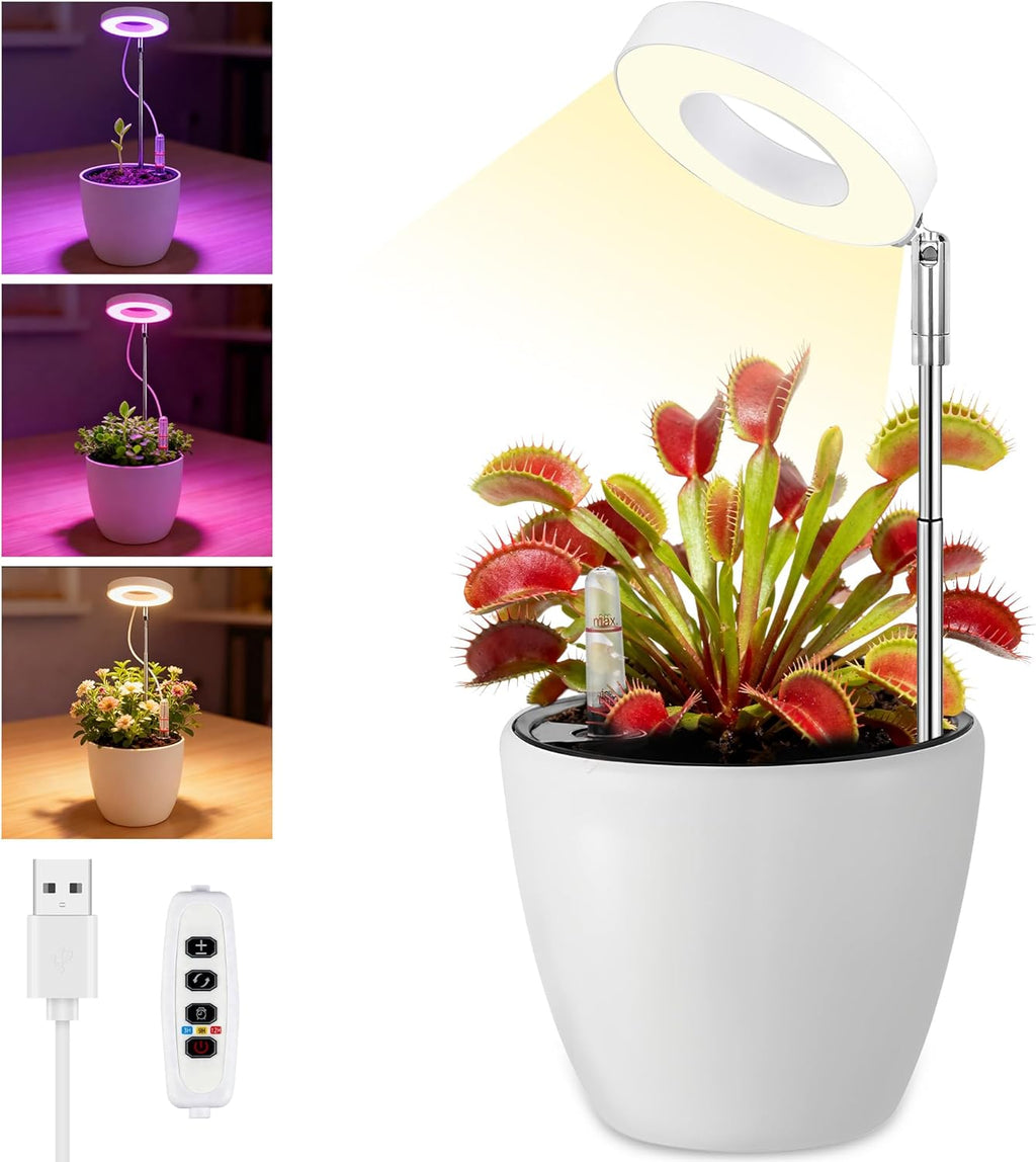 Venus Flytrap Terrarium Pot with LED Grow Light & Air Vent, Desktop Mini Ecosystem Planter Kit for Live Plants Indoor, Succulent, Moss, Butterwort Plant, Home Decor Office Desk Decor Gifts