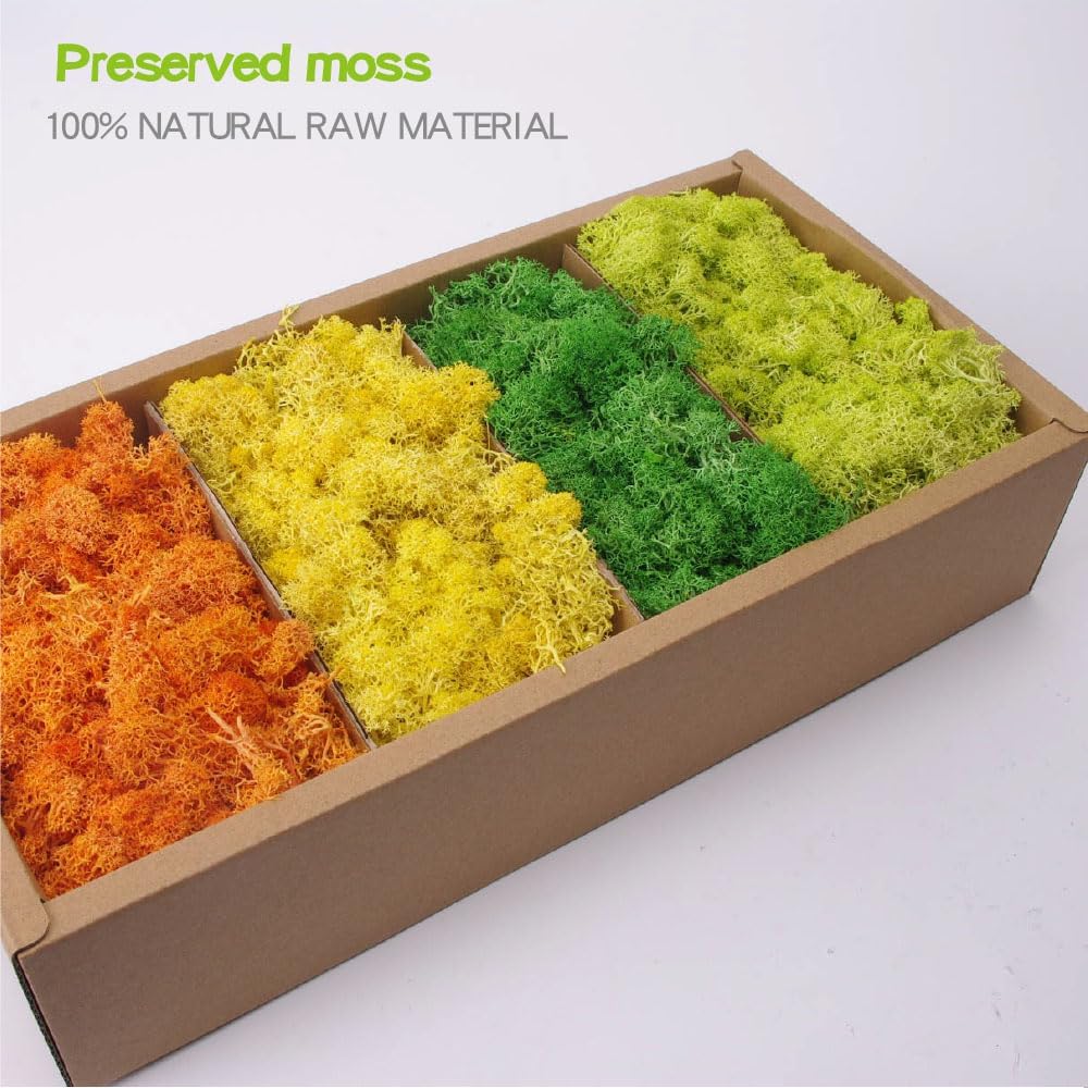 Preserved Moss-1.1lb 4 Color Mix Pack Reindeer Craft Moss, Green Moss Artificial Moss Suitable for Flowerbeds, Crafts, Home Office Artistic Decoration(Green Tones-5)