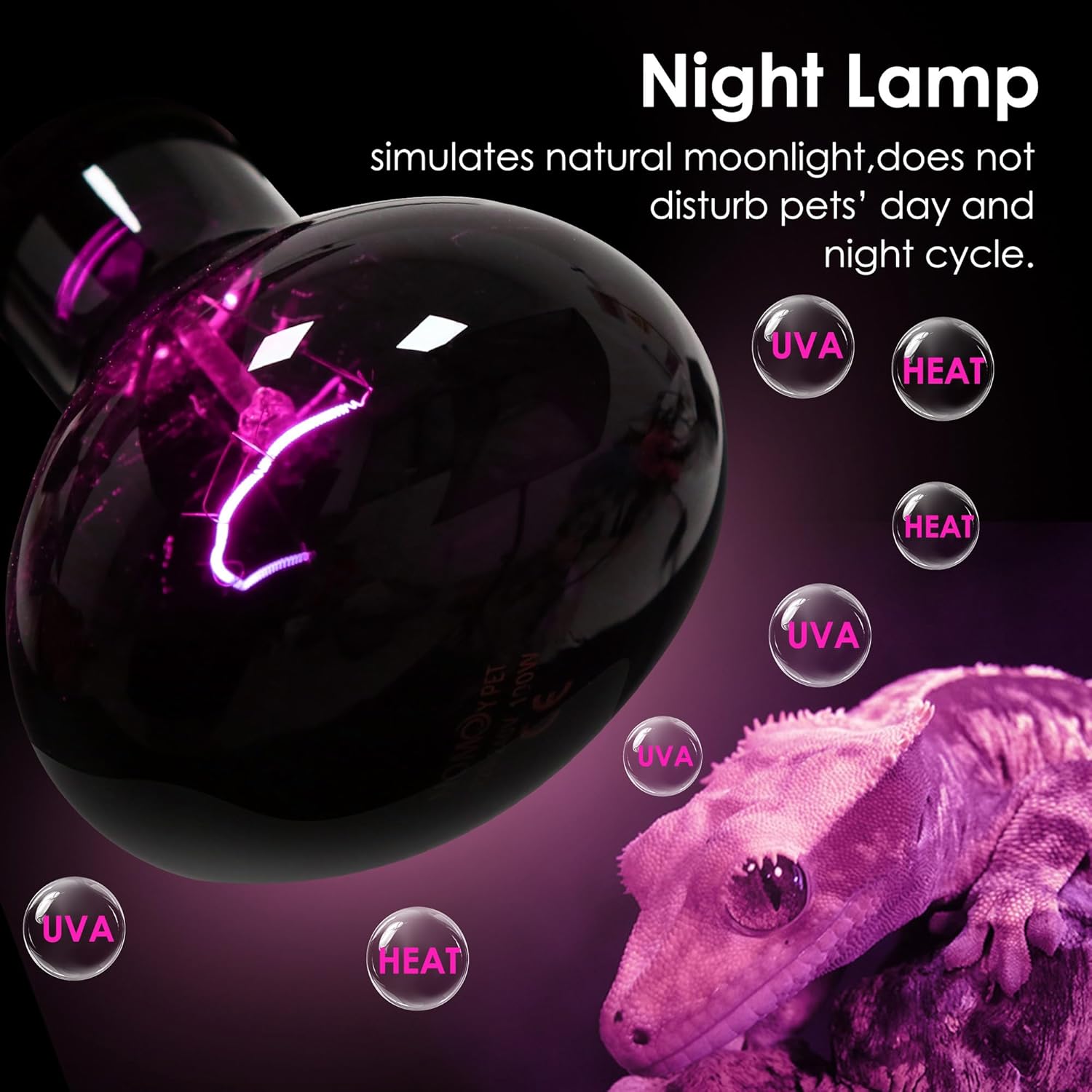 Reptile Heat Lamp Bulbs 2-Pack - Daylight & Nightlight Combo for Terrarium - Basking Bulb for Bearded Dragons, Turtles, Snakes & Lizards - Dual Day/Night Cycle - E26 Base 110V