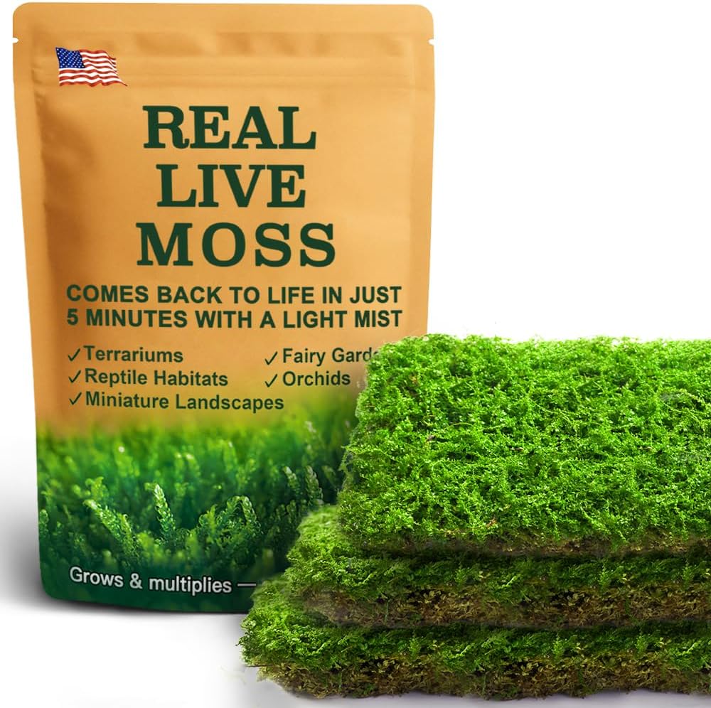 Live Moss – Plagiomnium Moss (3 Sheets, Each Approx. 3.5"x7") for Terrariums, Moss Balls, Bonsai & Natural Plant Decor – Naturally Grown, Reusable, Not Artificial