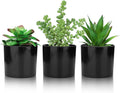 Hopewood Artificial Succulents Faux Potted Plant Decor, Small Fake Plants in Black Pot, Realistic and Lifelike for Book Shelf, Desk Decor, Home Office, Kitchen, or Bathroom Decor - Pack of 3