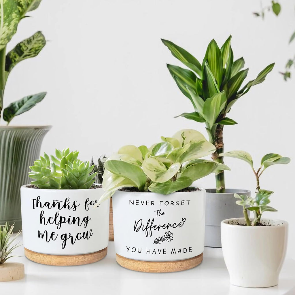 Funny Succulent Planters for Indoor Plants, Coworker Thank You Gifts, Farewell Going Away Appreciation Inspirational 3.5 inch Ceramic Cactus Planter Pots for Women Men Friend Boss Lady (No Plants)
