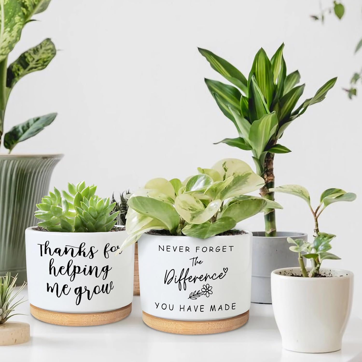 Funny Succulent Planters for Indoor Plants, Coworker Thank You Gifts, Farewell Going Away Appreciation Inspirational 3.5 inch Ceramic Cactus Planter Pots for Women Men Friend Boss Lady (No Plants)