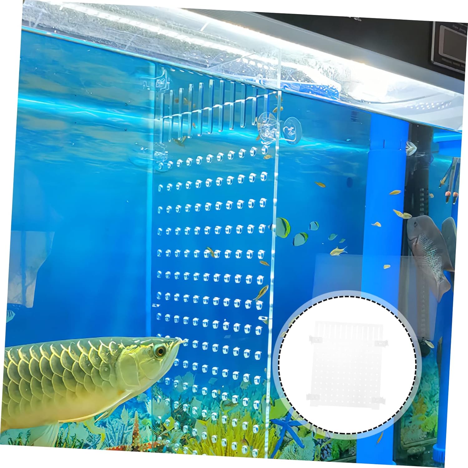 Acrylic Fish Tank Divider 11.8X9.8 Inch Clear Aquarium Separator Panel for 10-20 Gallon Tanks Transparent Isolation Board for Breeding and Tank Separation