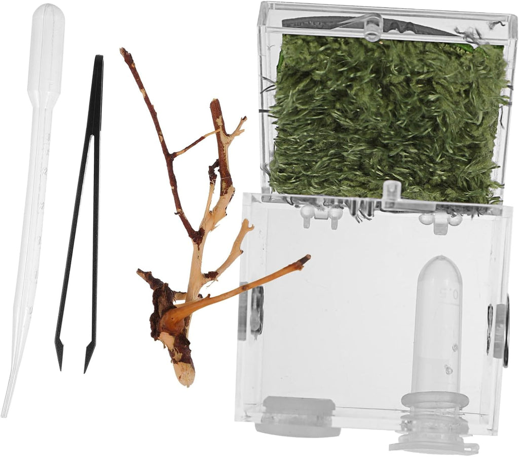 GANAZONO Transparent Acrylic Reptile Terrarium Box with Dropper and Forceps Pet Breeding Cage for Jumping Spiders and Small Insects Portable Habitat with Spacious Design and Easy