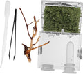 GANAZONO Transparent Acrylic Reptile Terrarium Box with Dropper and Forceps Pet Breeding Cage for Jumping Spiders and Small Insects Portable Habitat with Spacious Design and Easy