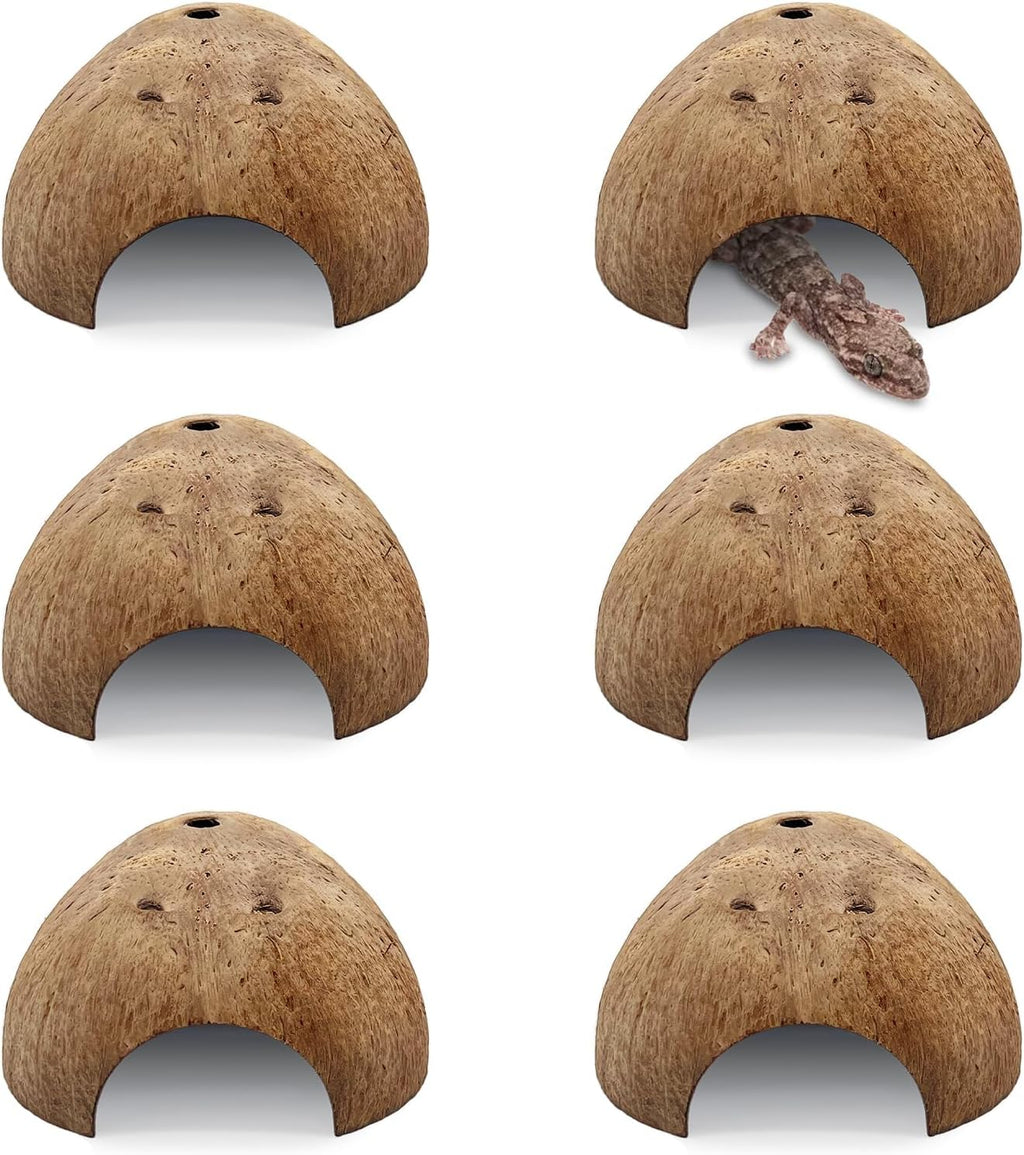 PINVNBY 6 PCS Natural Coconut Reptile Hideouts Lizard Coco Hut Hermit Crab Hut Aquarium Fish Hide Cave Spider Snail Climber Toys