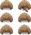 PINVNBY 6 PCS Natural Coconut Reptile Hideouts Lizard Coco Hut Hermit Crab Hut Aquarium Fish Hide Cave Spider Snail Climber Toys