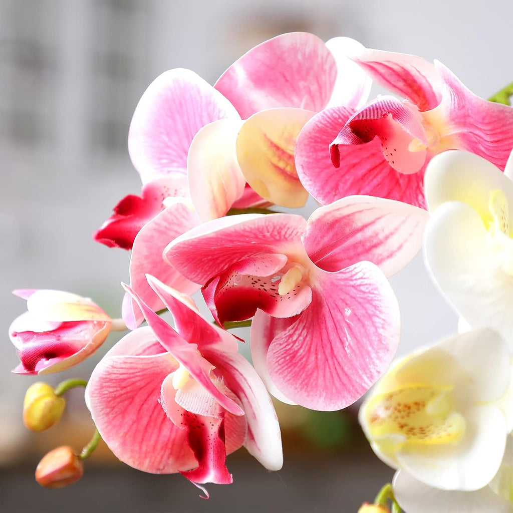 Chuangdi 2 Pieces Artificial Phalaenopsis with Suction Cups Terrarium Plant Decoration Reptile Habitat Plant Decor for Hermit Crab Lizards Geckos Snake Reptile (Dark Pink, White Yellow)