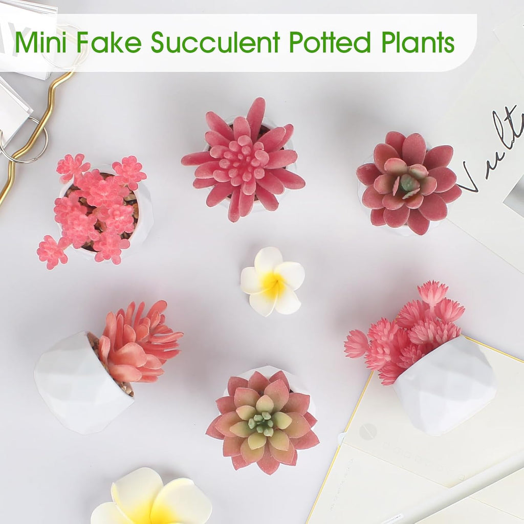 ZINHO Fake Succulent Plant Set 6 PCS Artificial Succulent Plants for Desk Realistic Faux Succulents in Plastic Pots Mini Colorful Succulent Decor for Bedroom Office Shelf Decor (Pink)